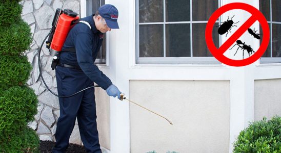 Basınsitesi Fare İlaçlama böcek ilaçlama ve haşere kontrolü — ilaclama-tr.com